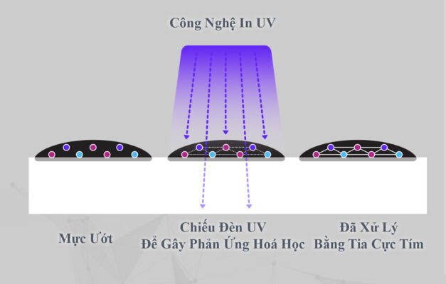Công Nghệ UV Hiện Nay: Xu Hướng Sấy Khô Công Nghiệp Tối Ưu Năng Suất